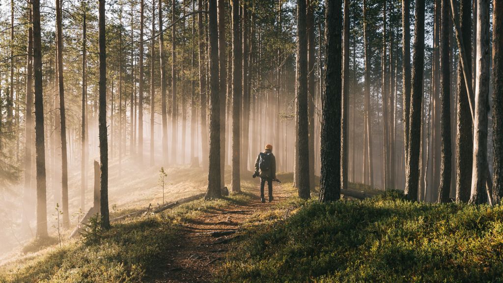 Responsible traveling in Lapland