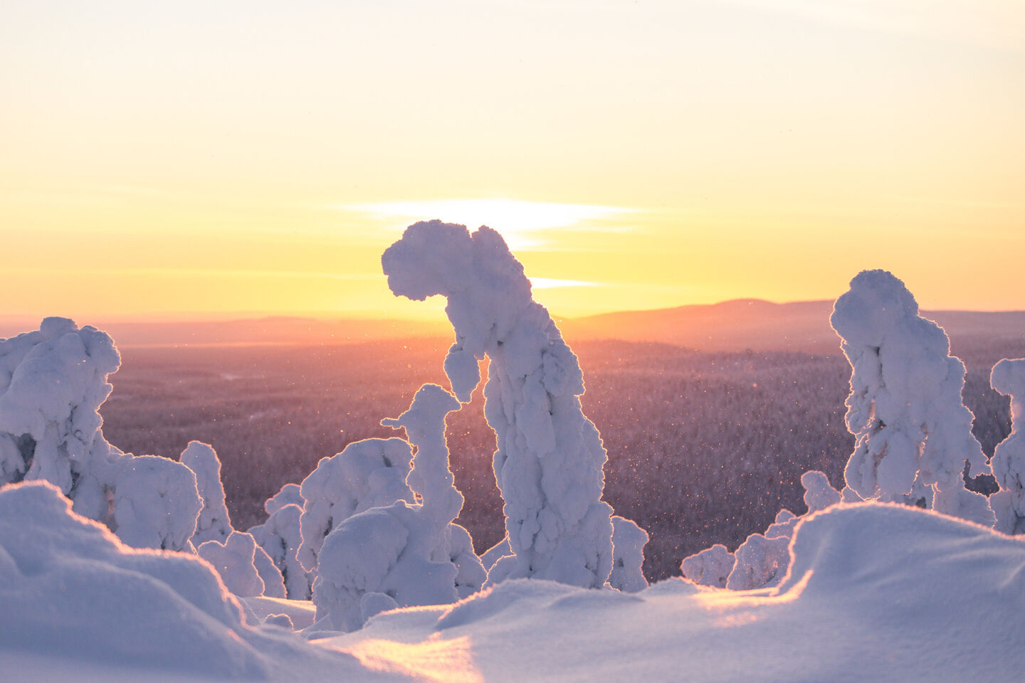 A sunset over a snowy landscape in Salla, Finland