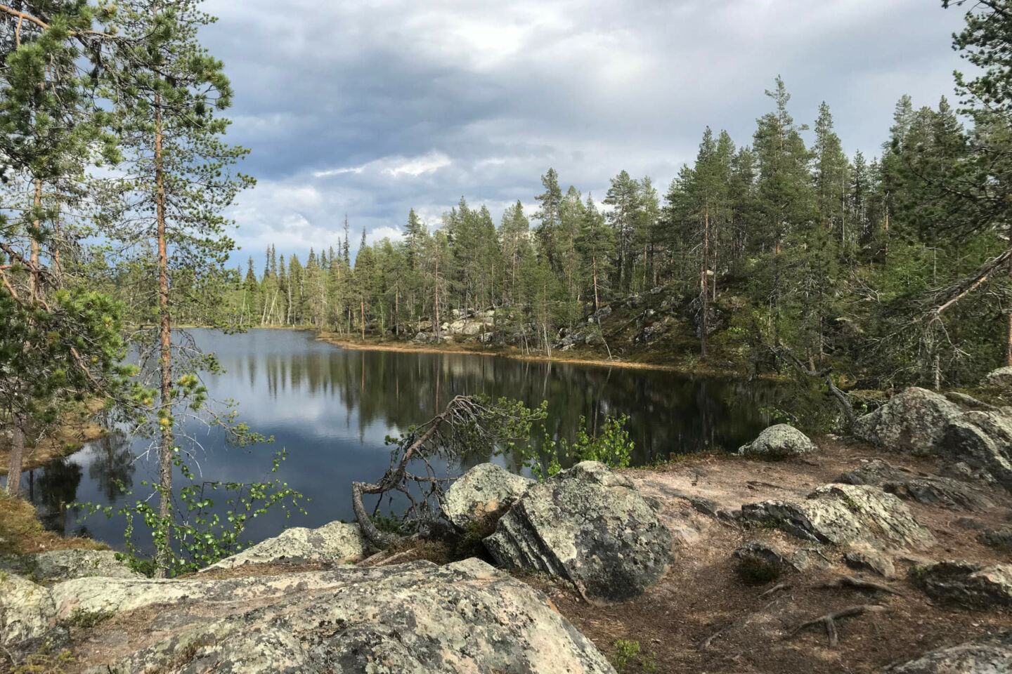 A green summer day in Kittilä, Finland