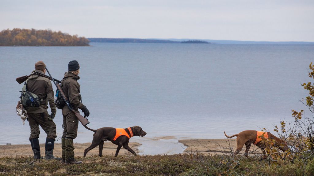 Lappi on metsästäjän paratiisi Asuminen Lapissa