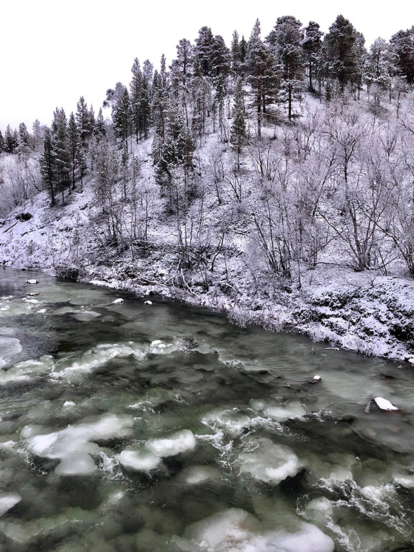 Karigasjoki jäätymässä