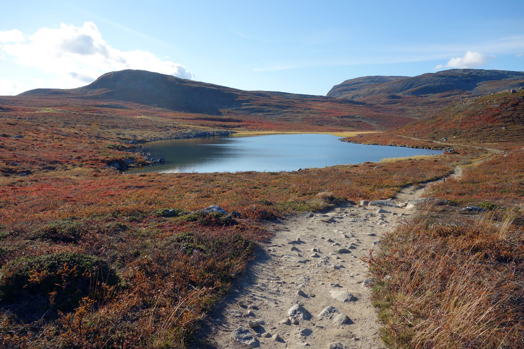 autumn-foliage-in-the-arctic