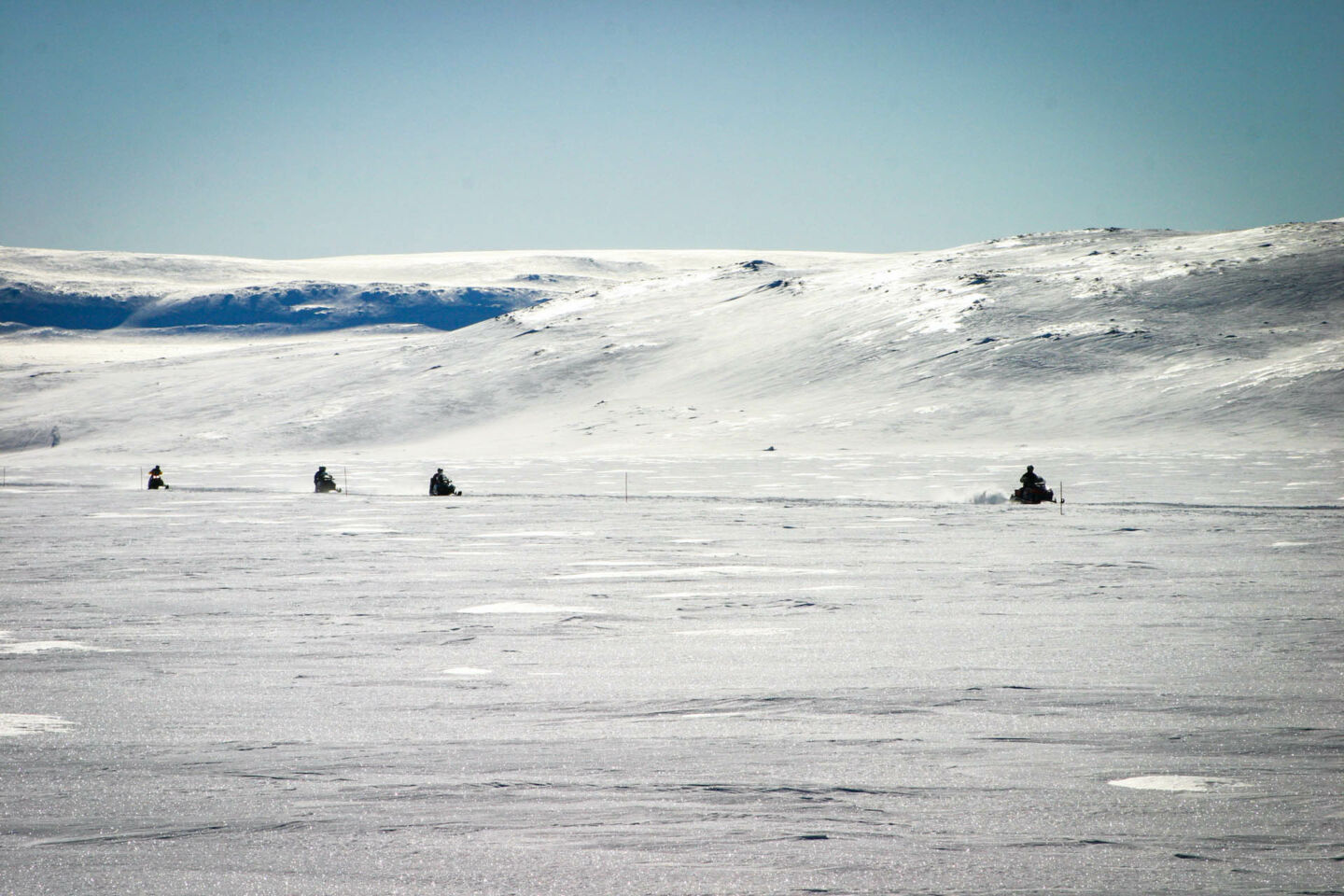 You can find casting for your Arctic production, whether you're downtown or fellside