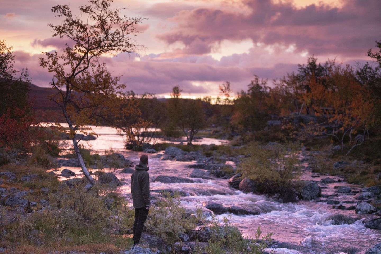 Ruska - the colors of Arctic Autumn | Visit Finnish Lapland