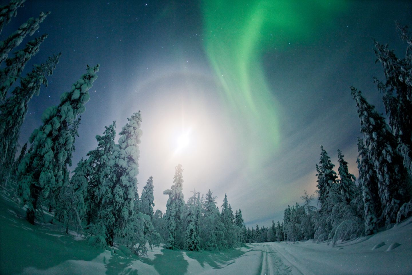 Auroras on a winter night in Finnish Lapland