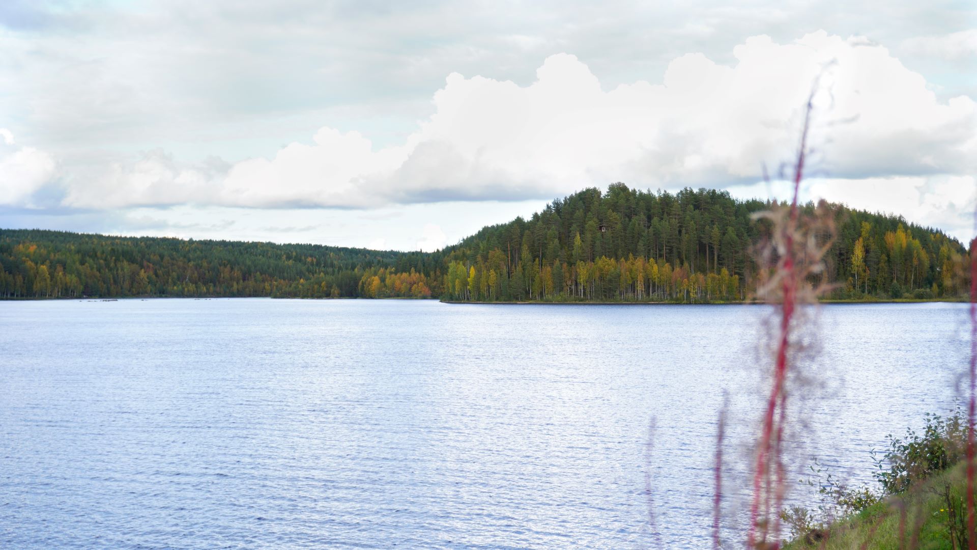 Business Lapland aamupäivä House of Lapland