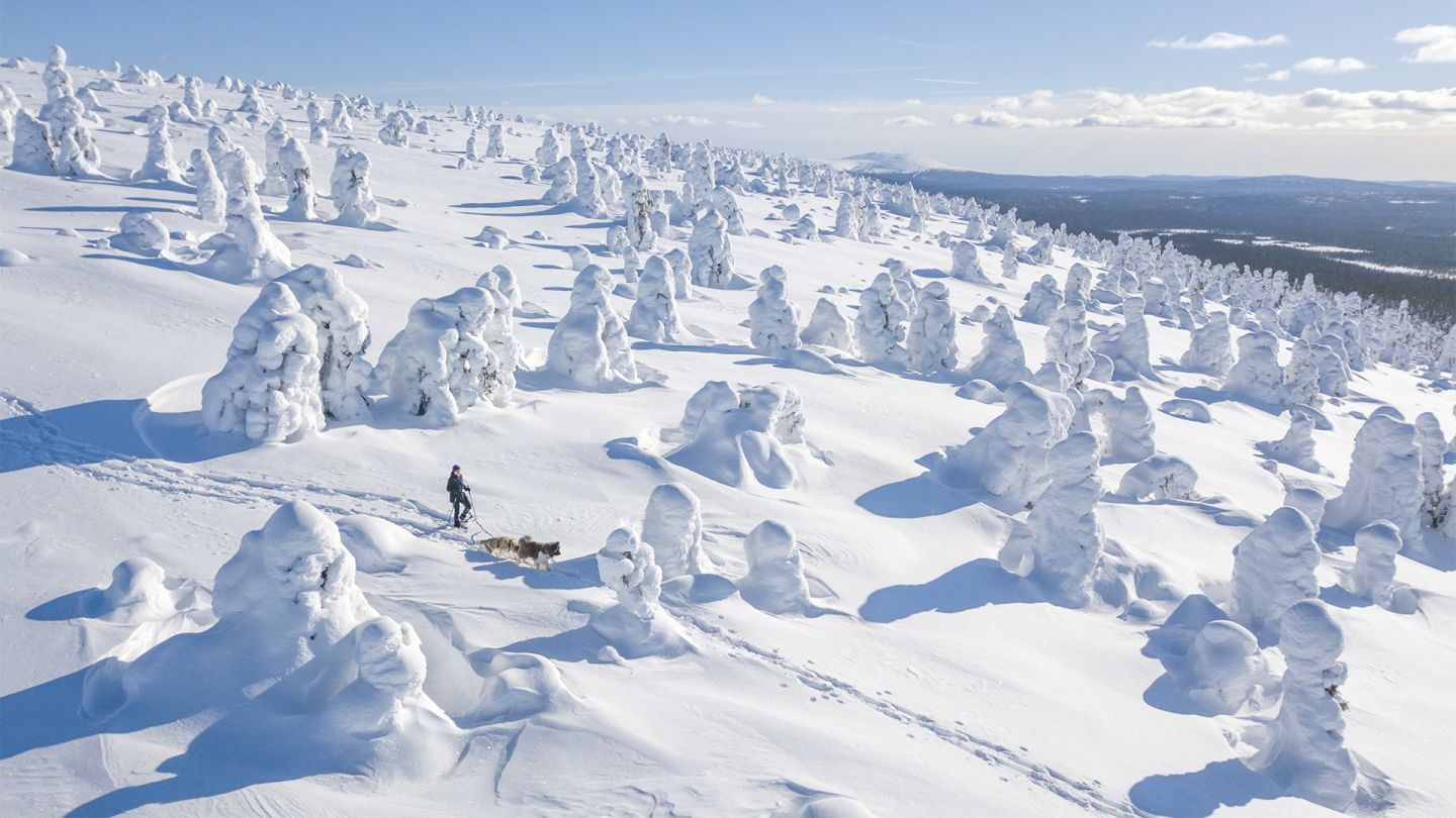 Winter day in Finnish Lapland