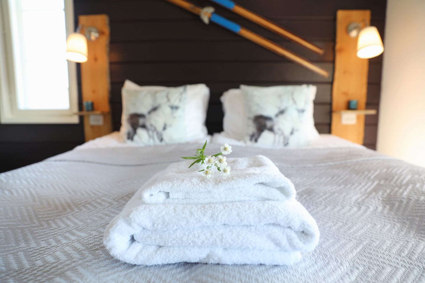 Opportunities for hotel investments in Lapland