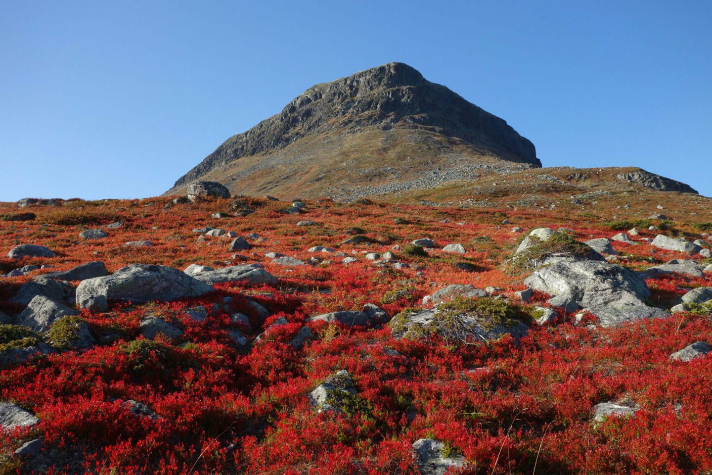 Autumn colors at Mt. Saana, an Arctic fell in Kilpisjärvi, a Finnish Lapland filming location