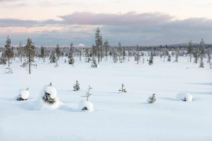 A snowy vista in Savukoski, a Finnish Lapland wilderness filming location