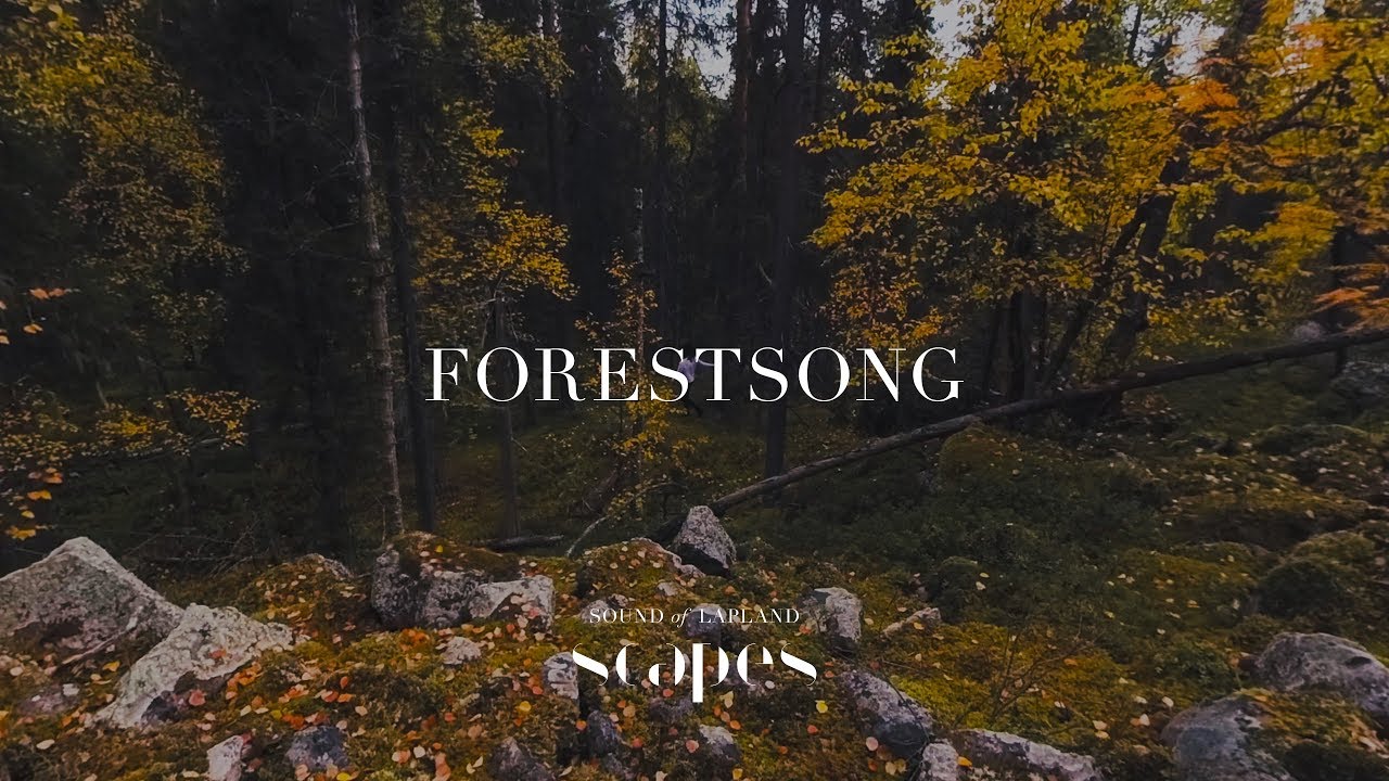 Forestsong is an ambient nature soundtrack from SCAPES, filmed in Finnish Lapland