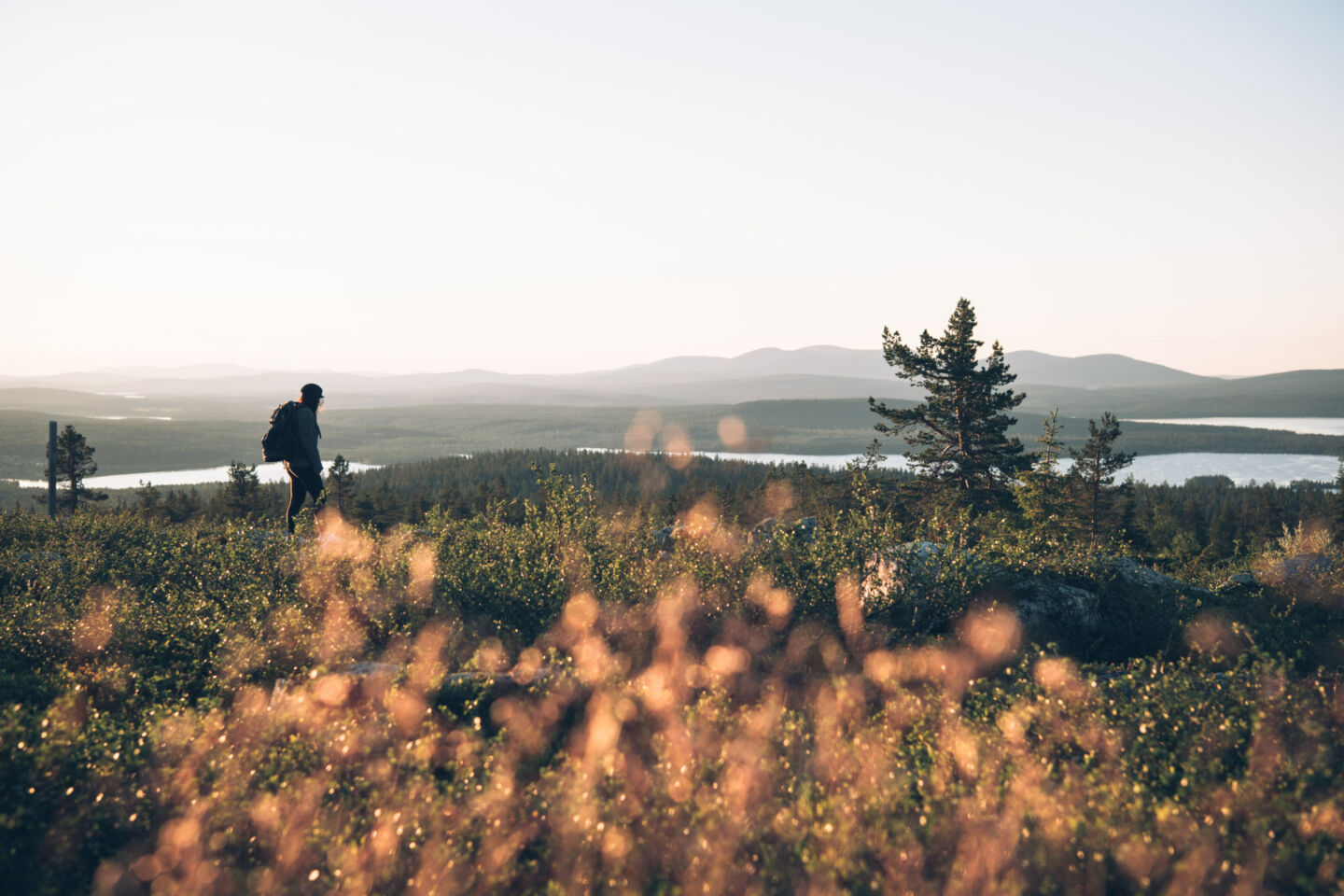 Hiking in summer in Finnish Lapland