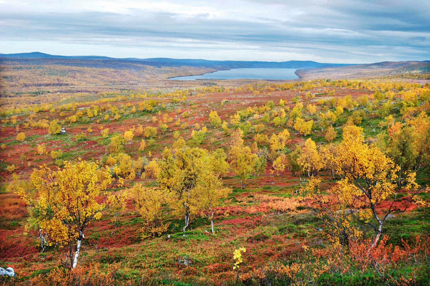 Autumn colors on the fellfields of Utsjoki, a Finnish Lapland filming location