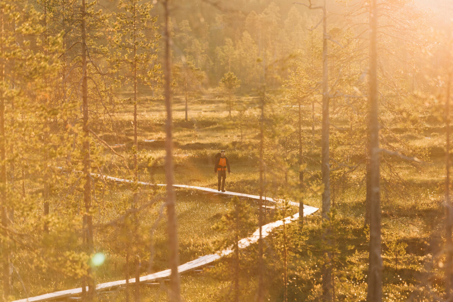 Hiking under the Midnight Sun in Finnish Lapland