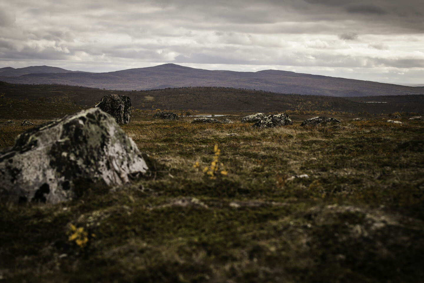 A boulder sits alone on the fellfields of Utsjoki, a Finnish Lapland filming location