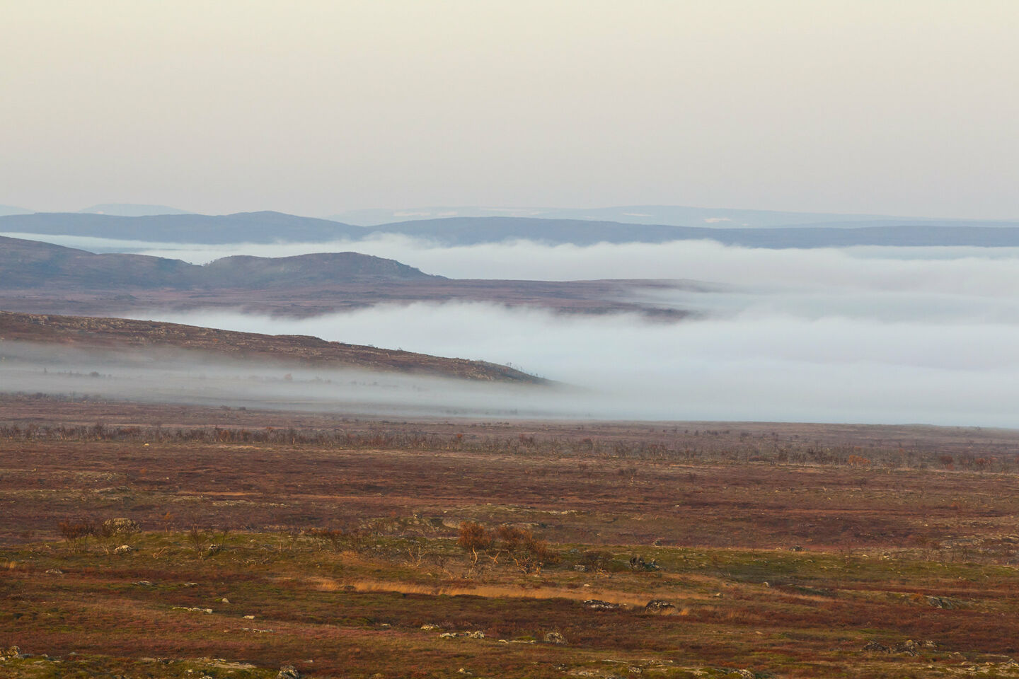 Misty autumn on the fellfields of Utsjoki, a Finnish Lapland filming location