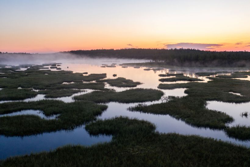 Härkäsuo in Ranua, Lapland, Finland