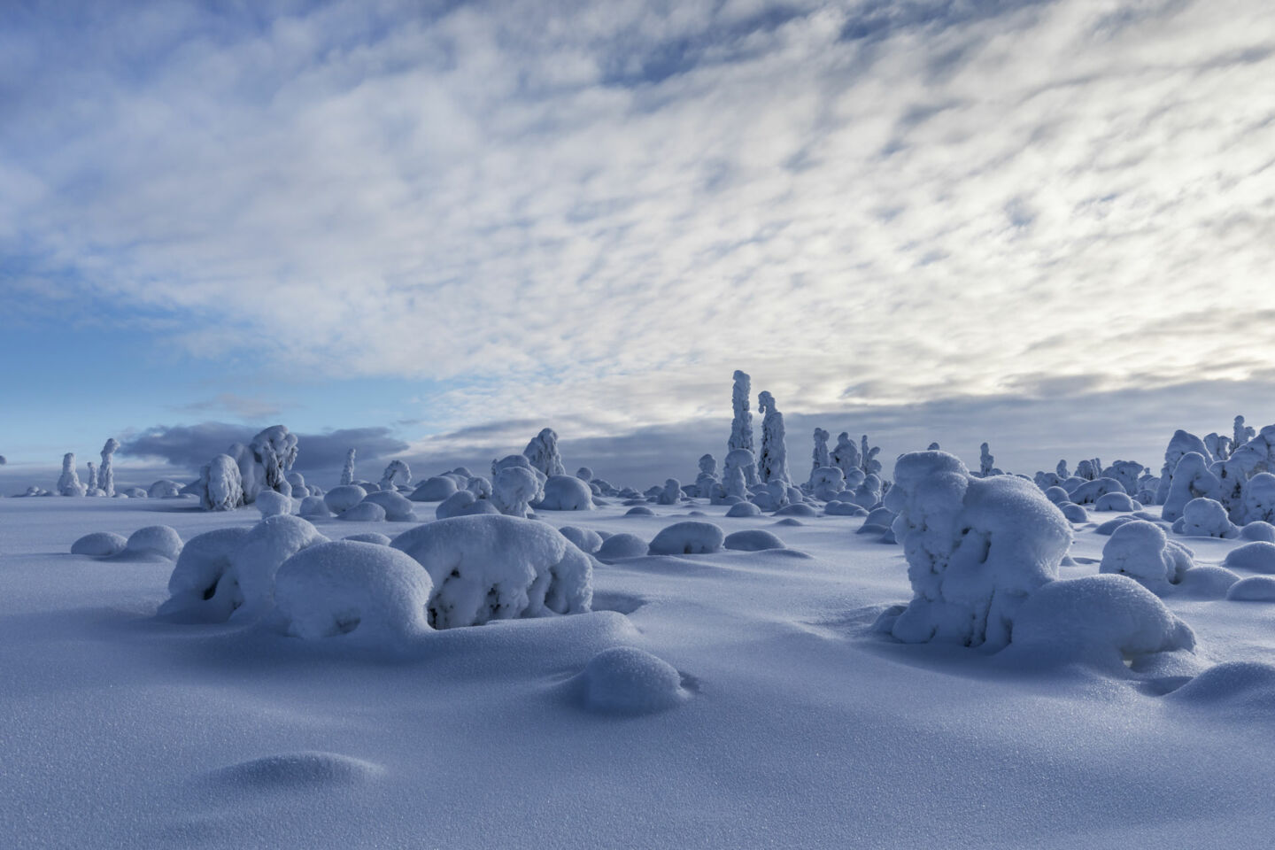 A snow vista in Savukoski, a Finnish Lapland wilderness filming location