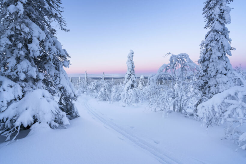 A snowy winter day in Savukoski, a Finnish Lapland wilderness filming location