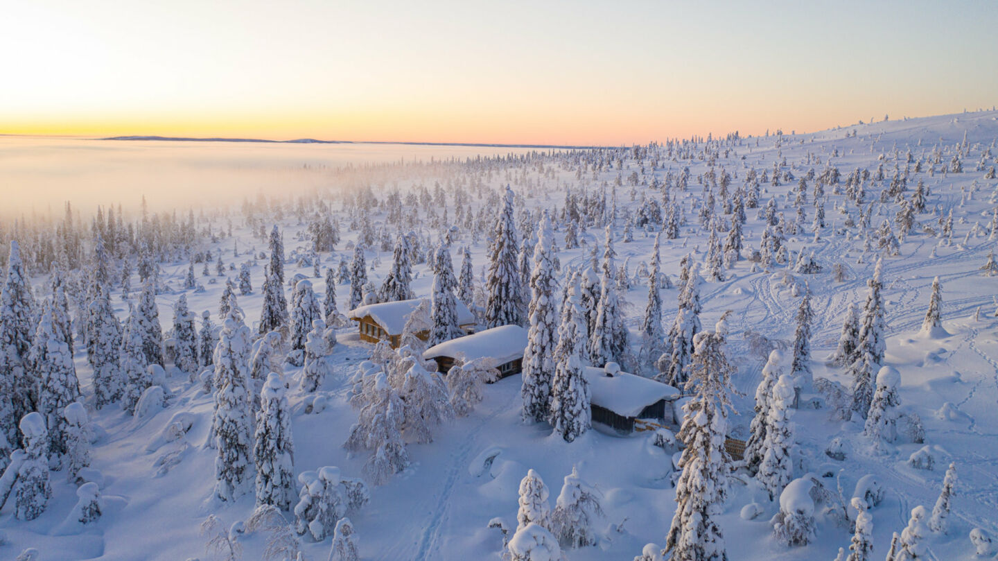 Winter forest in Finnish Lapland, the perfect place for sustainable productions