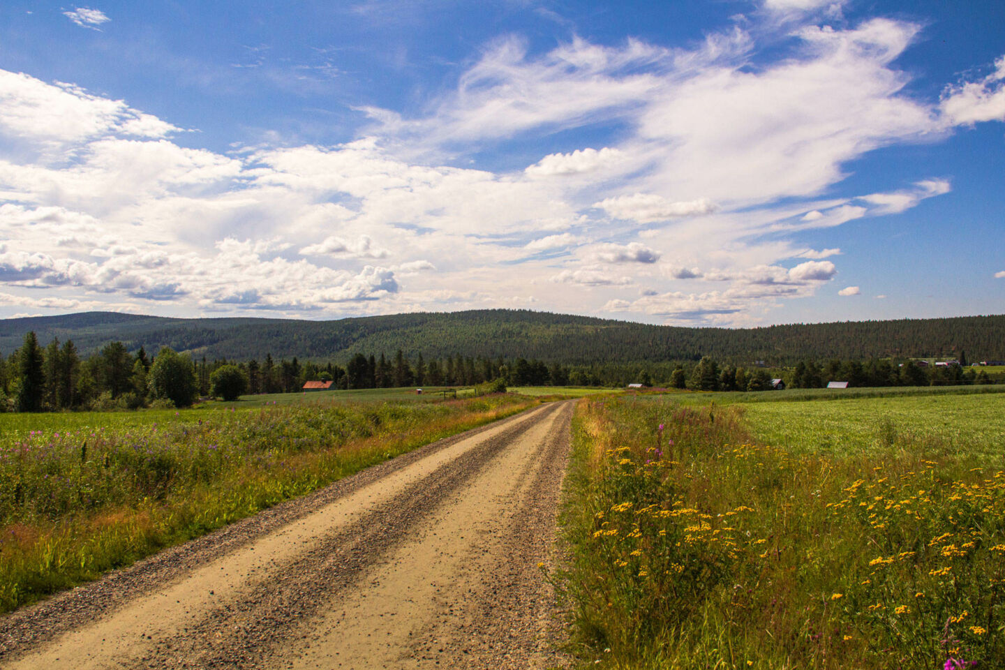 The road to Lapland ( Salla, a Finnish Lapland filming location)
