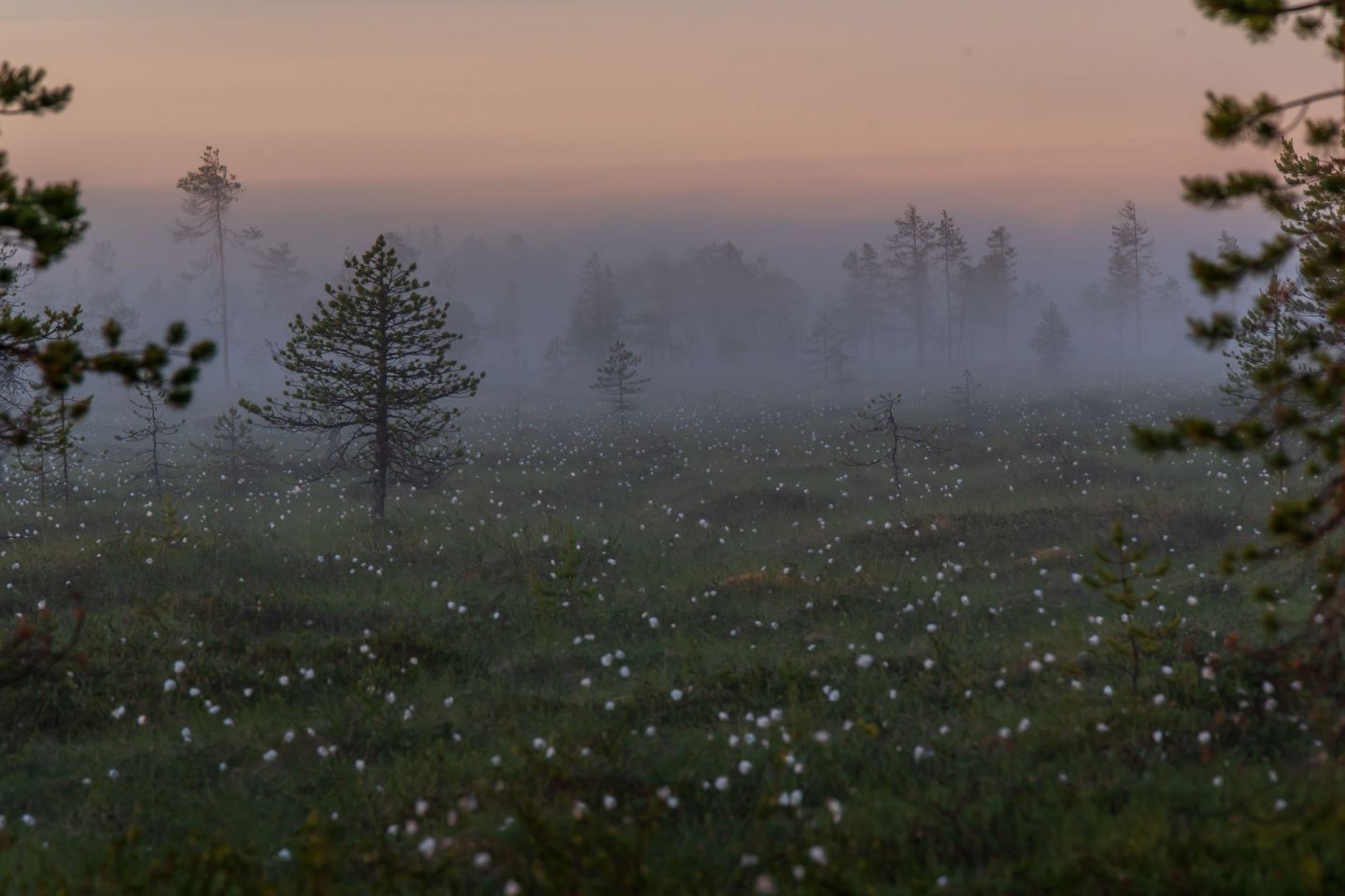 Kaitasuo in Ranua, Lapland, Finland