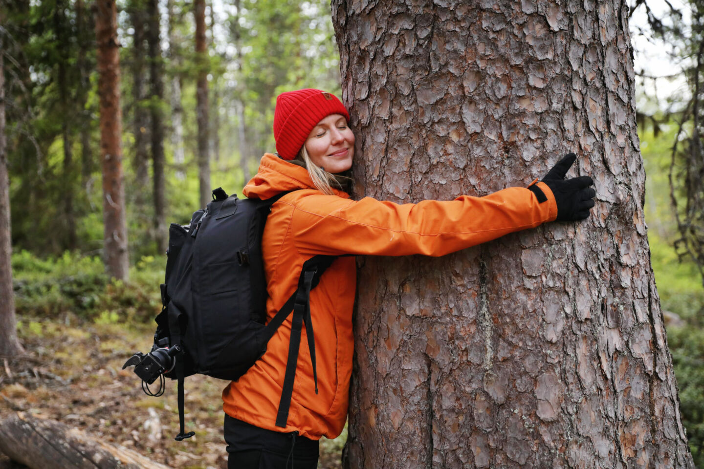 Hugging a tree in Finnish Lapland