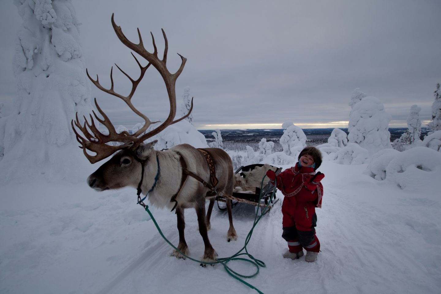 Christmas Bucket List: reindeer sledge ride in Salla