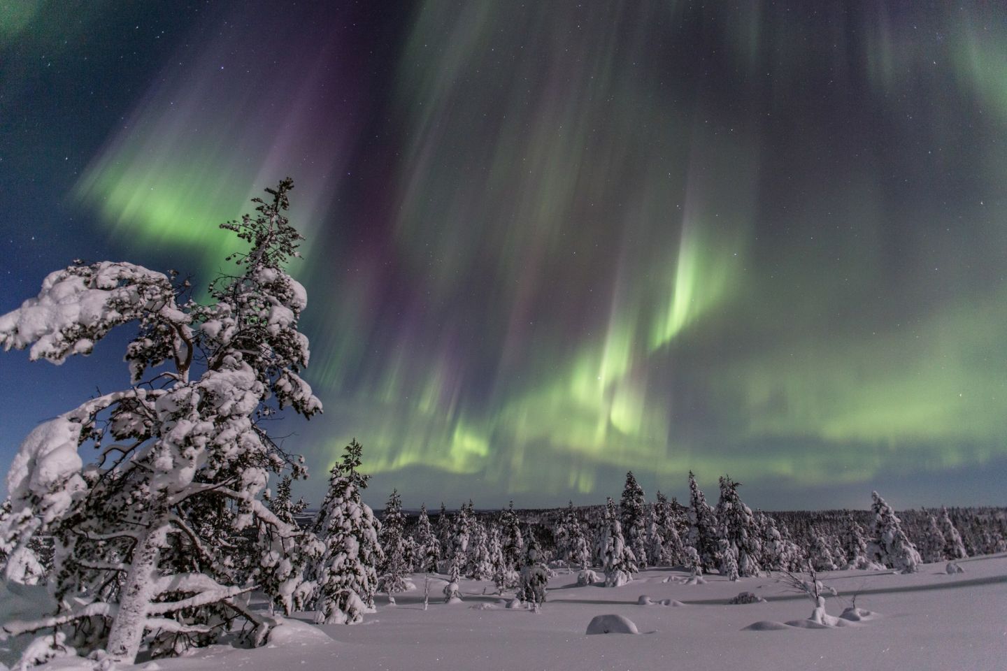 Christmas Bucket List: Northern Lights over Inari, Finland