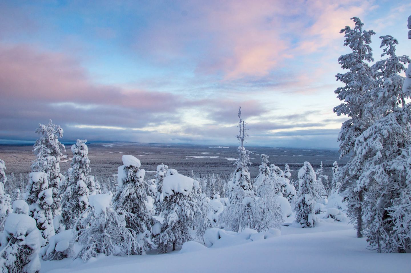 Christmas Bucket List: landscapes of northern Finland in winter