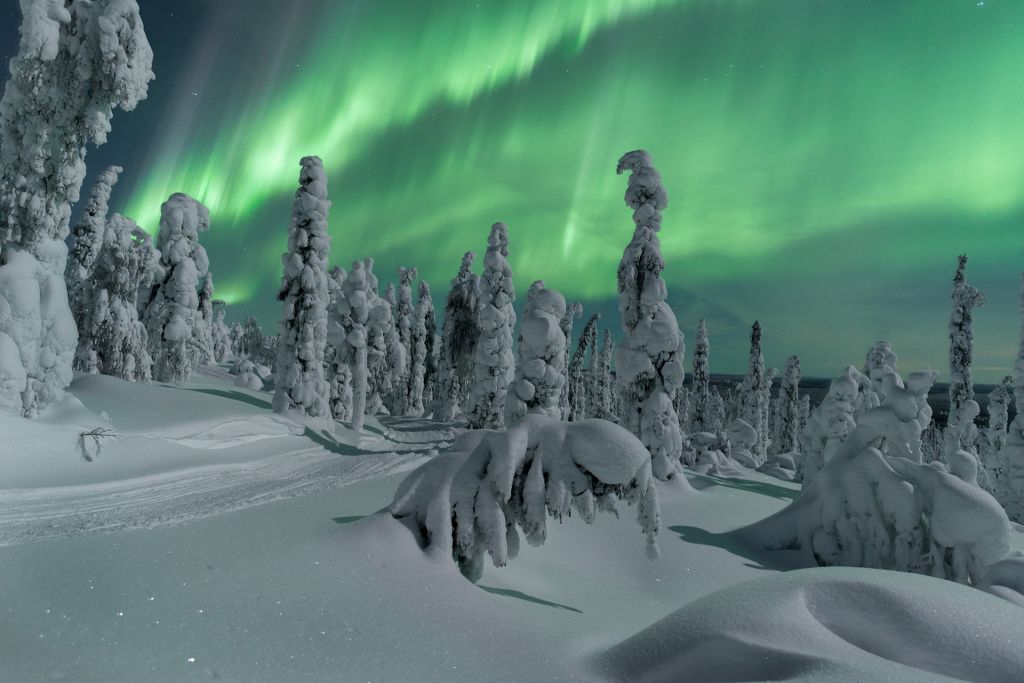 northern lights movie northern lights movie