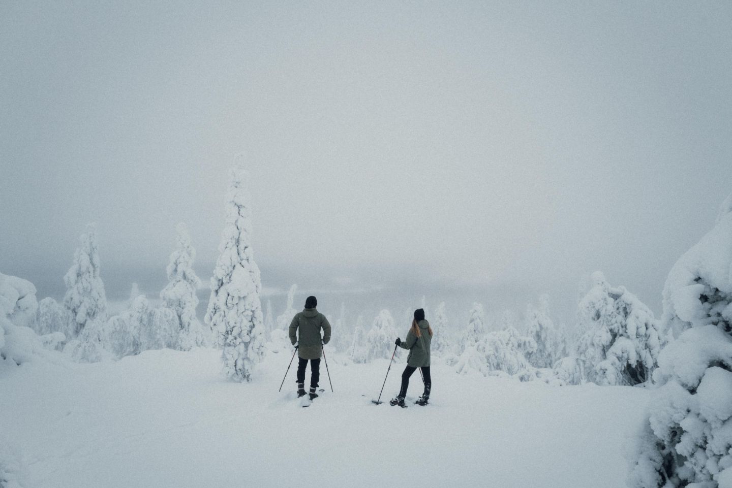 A snowy outing in Lapland, Europe's last wilderness