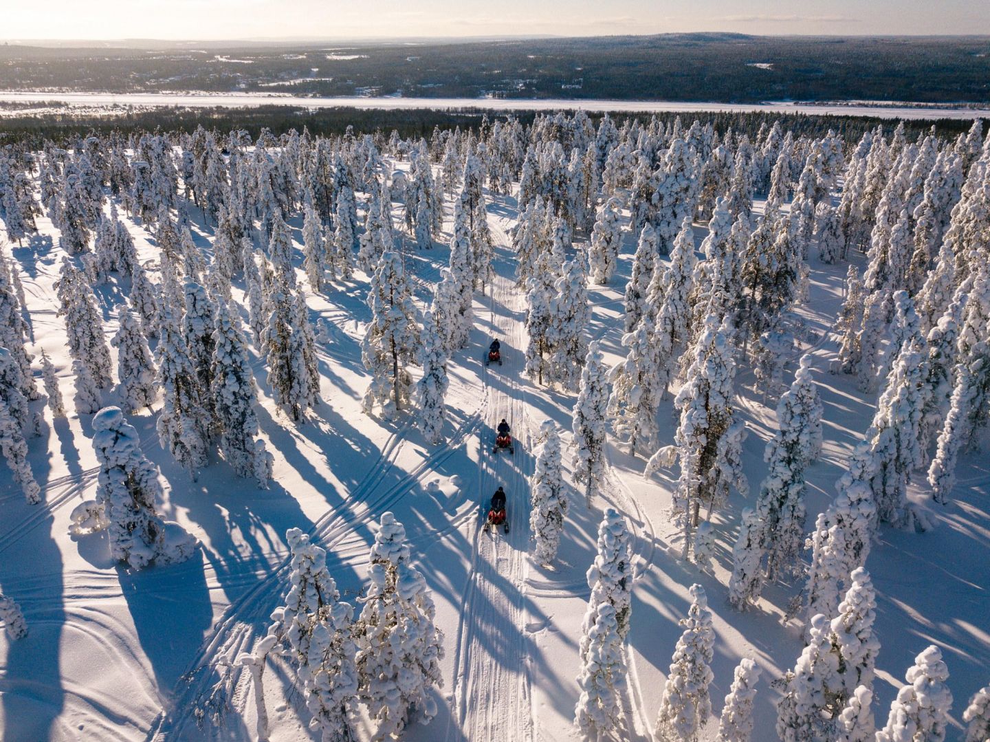 Cutting through the snowy forests in Lapland, Europe's last wilderness