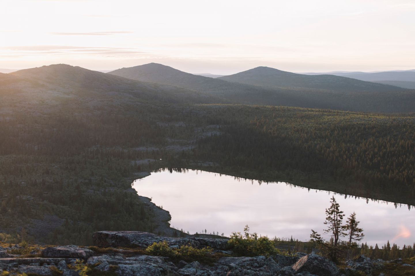 A crisp day in Lapland, Europe's last wilderness