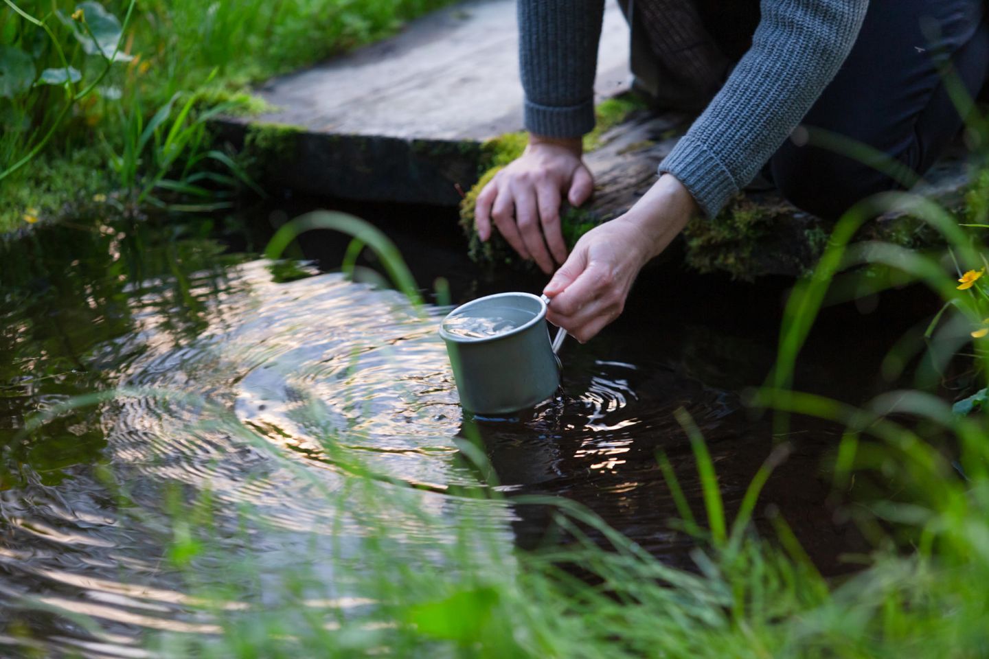 A drink in summer in Lapland