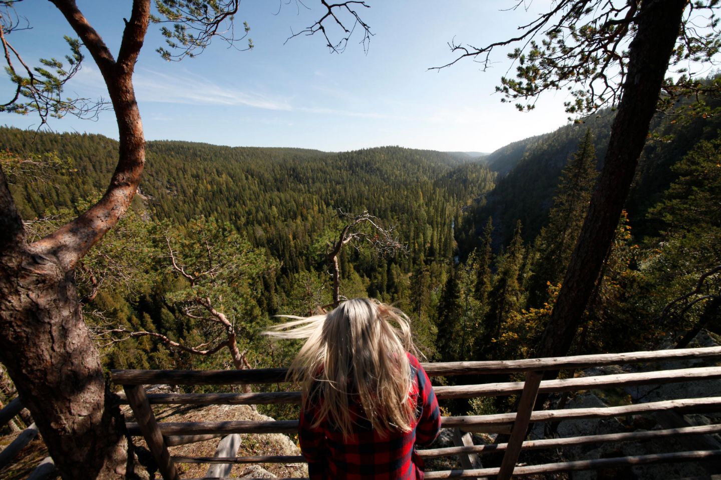 Enjoying the summer breeze in Korouma, Posio, Lapland