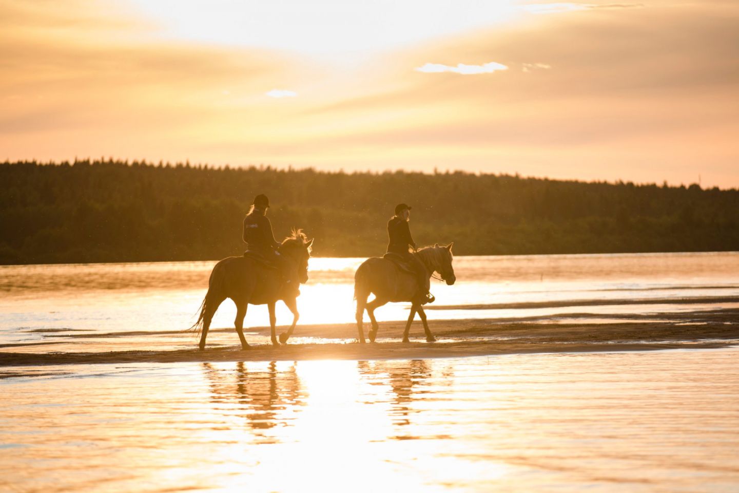 Horseback riding in Rovaniemi, FInland under the Midnight Sun