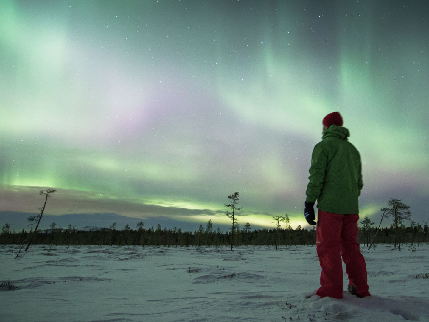 Watching the Northern Lights in Pyhä, in Lapland Finland