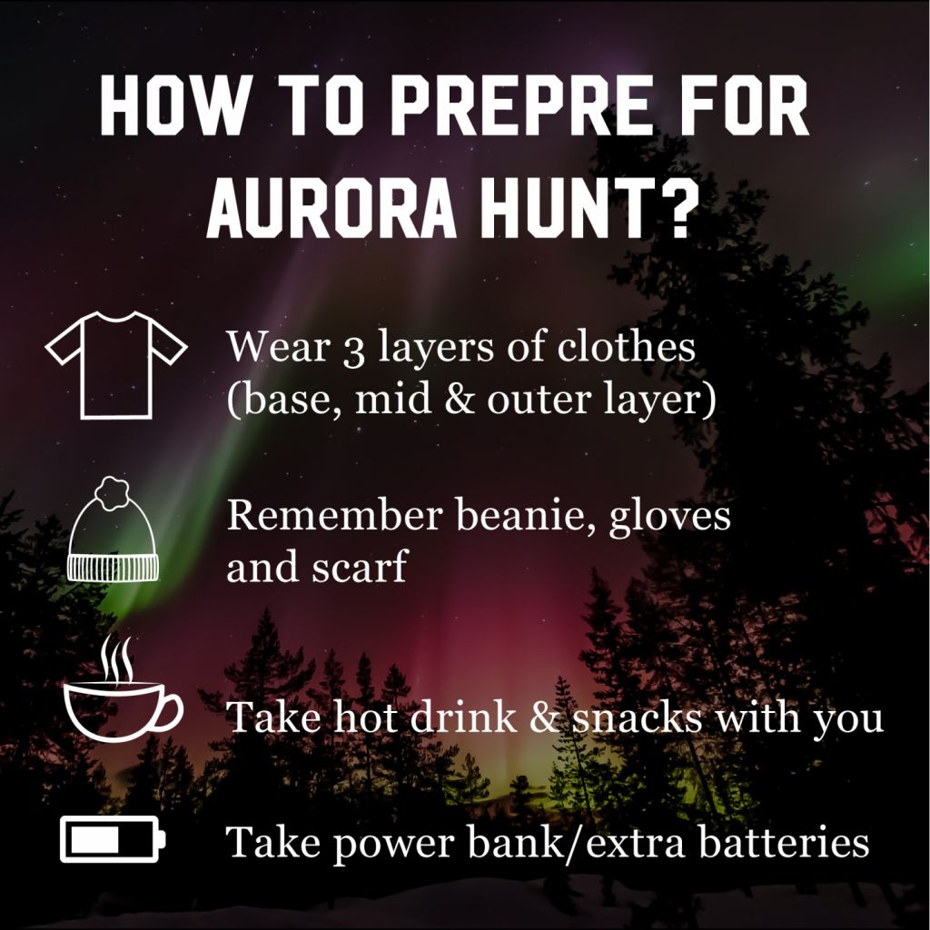 How should you prepare for an aurora hunt?