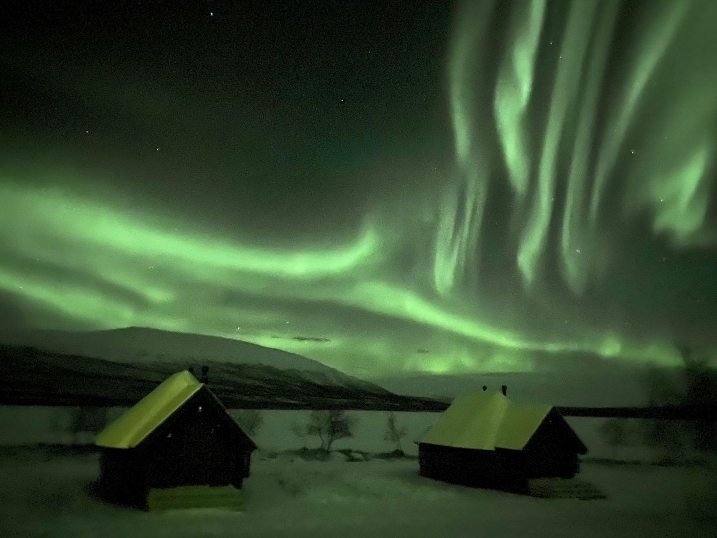 The auroras over cabins at Arctic Land Adventure, in Lapland, Finland