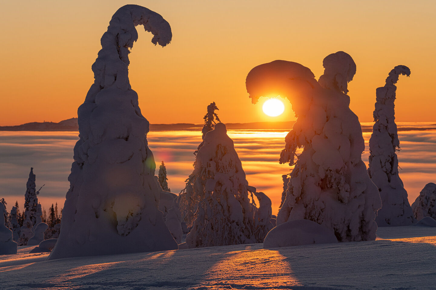 Sunset and snow-crowned trees in Riisitunturi National Park in Posio, a Finnish Lapland filming location