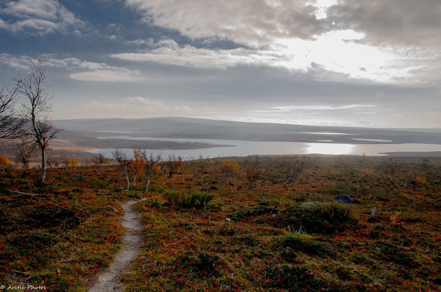 A lonely path in Utsjoki, FInland in autumn