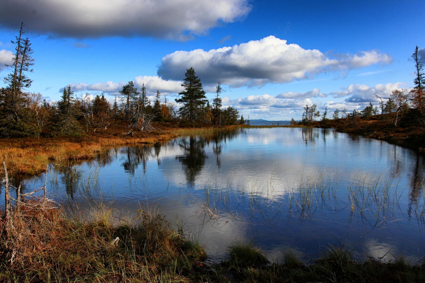 Hiking Posio, Finland in the autumn