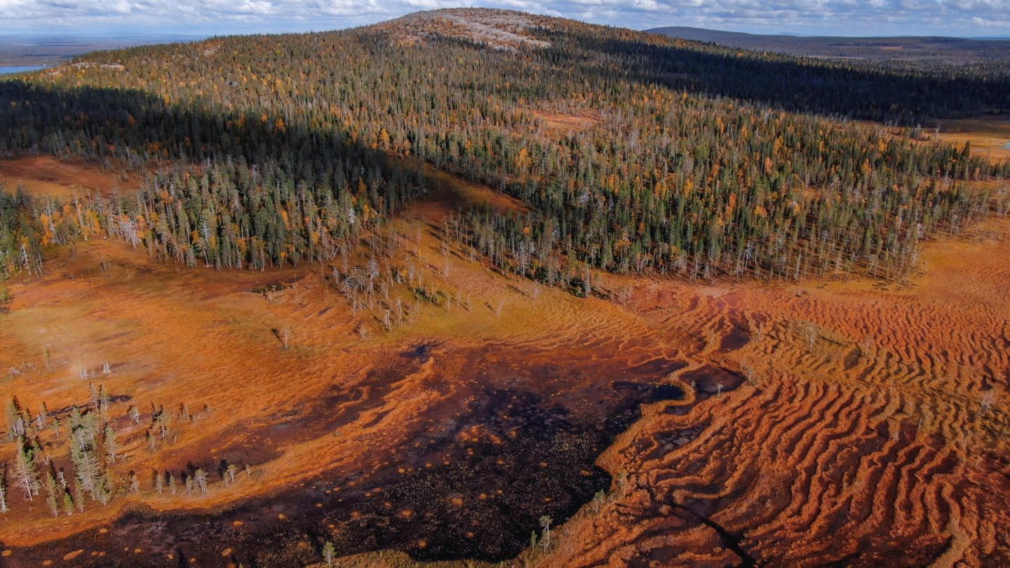 Salla, FInland in autumn