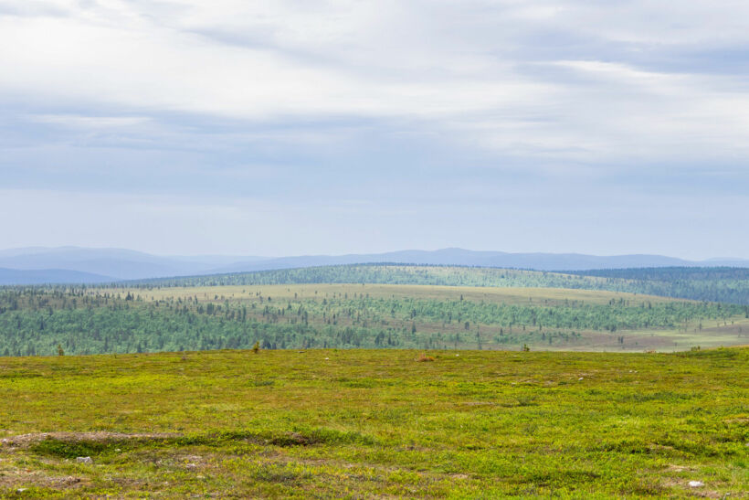 Green summer day on the fells in Inari, a Finnish Lapland filming location