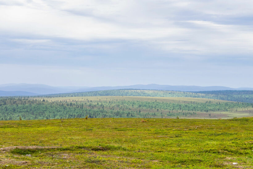 Green summer day on the fells in Inari, a Finnish Lapland filming location