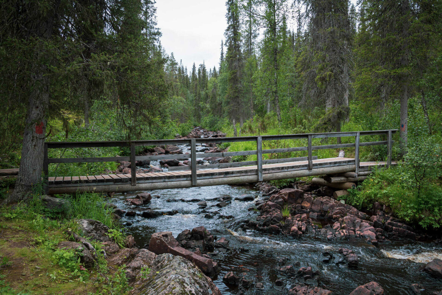 The river, forest and ravine at Salmijoki river in Salla, a Finnish Lapland filming location