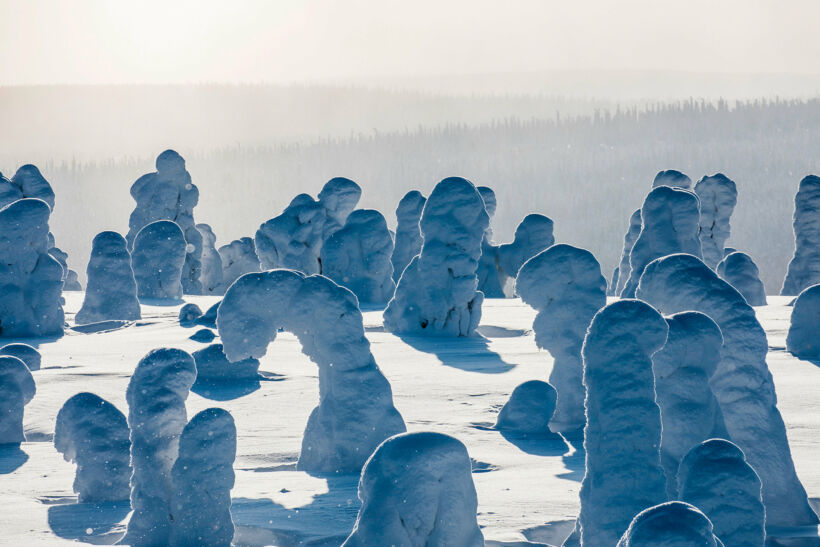 Snow-crowned trees in Riisitunturi National Park in Posio, a Finnish Lapland filming location