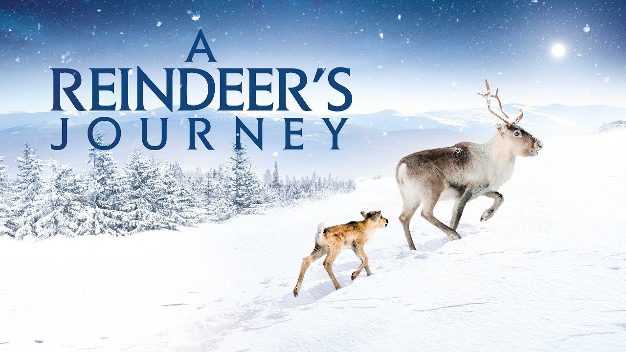 A Reindeer's Journey poster landscape