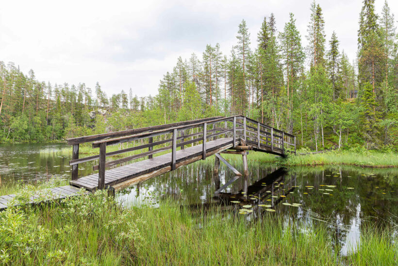 The river, forest and ravine at Salmijoki river in Salla, a Finnish Lapland filming location